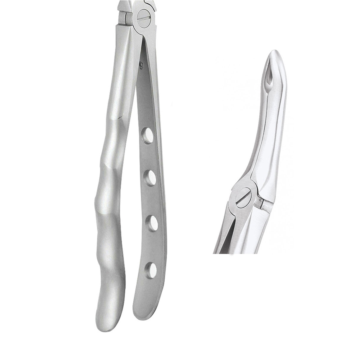 extraction-forceps-upper-roots-english-pattern