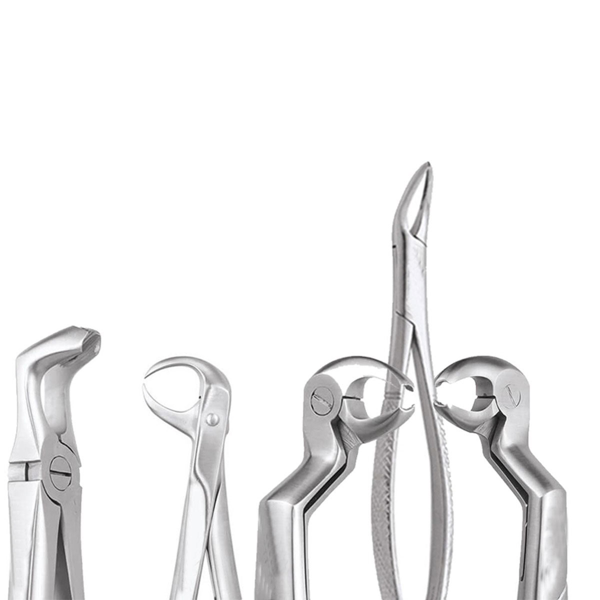 extraction-dental-forceps