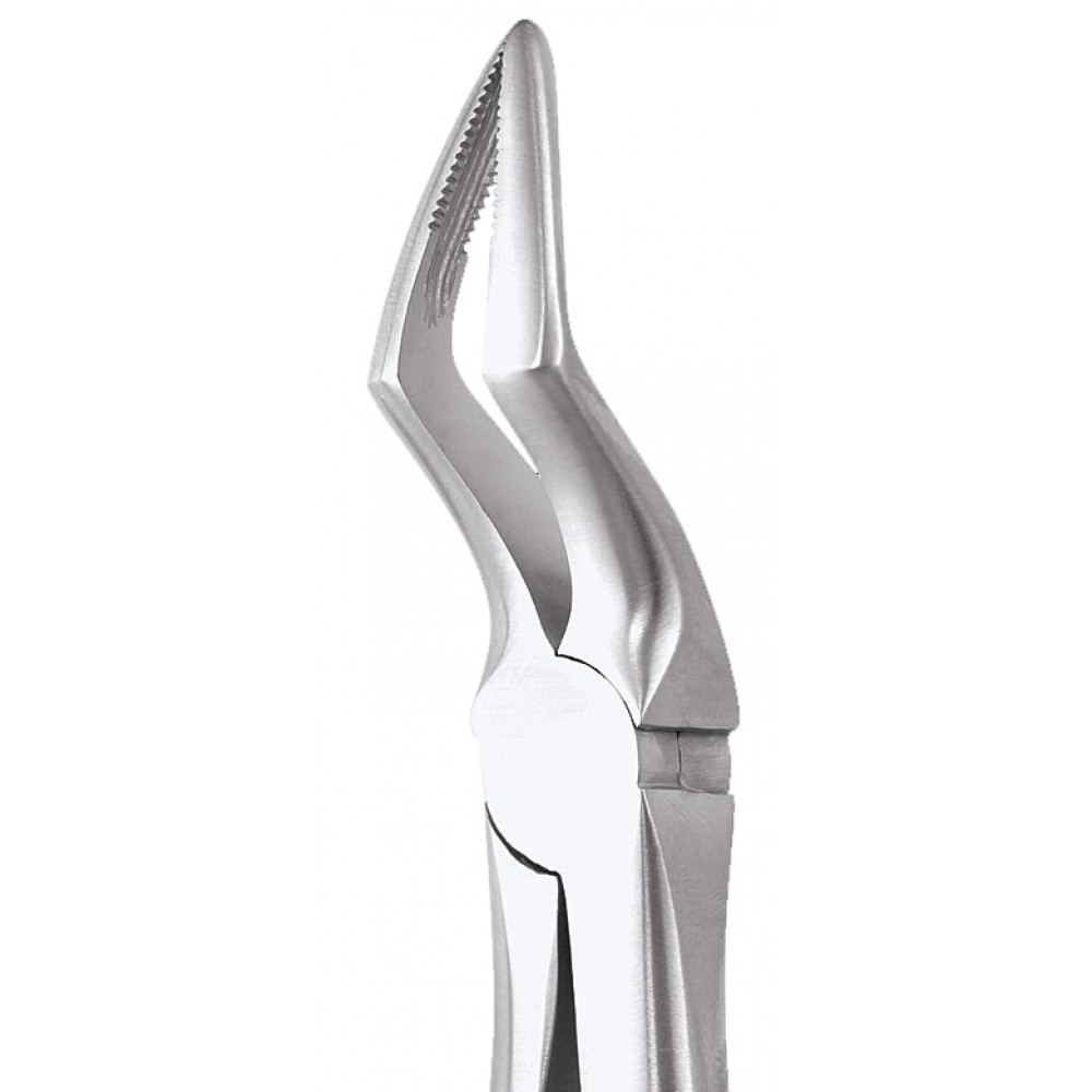 extraction-forceps-upper-roots-51a