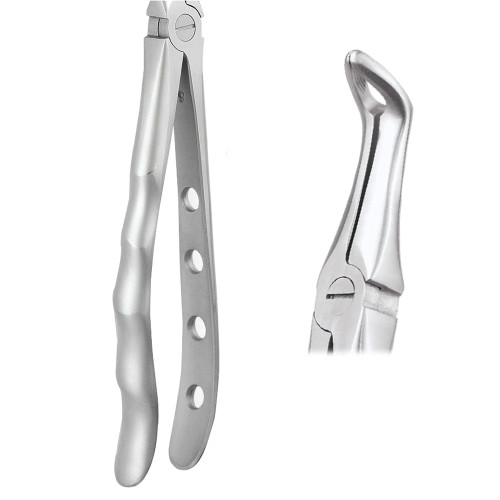 Dental Extraction Forceps (GDC – Assorted Types)