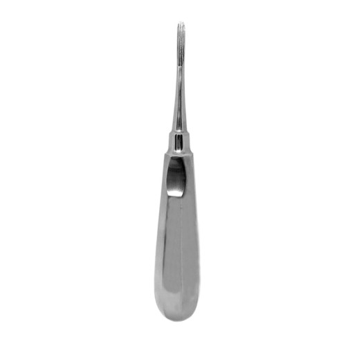 Dental Tooth Extraction Elevator Instrument