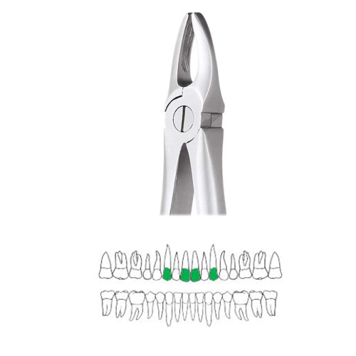Extraction Forceps (Upper Anteriors – Model 1)